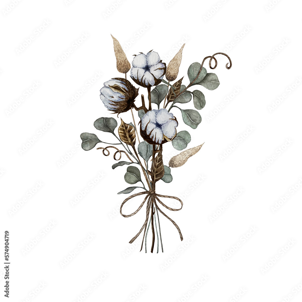 Obraz premium bouquet of eucalyptus and cotton