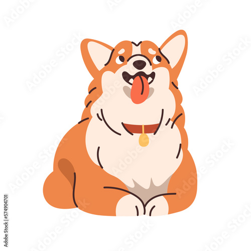 Cute Corgi breed dog. Obedient canine animal, pup. Purebred funny puppy lying and waiting with obedience. Adorable thoroughbred doggy looking up. Flat vector illustration isolated on white background