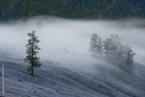 Altay Xinjiang,Kanas, photo