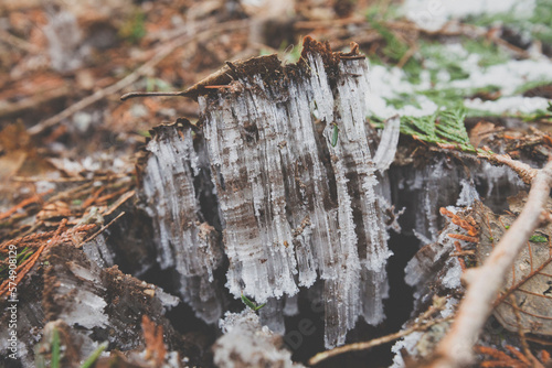 Frost heaving (or a frost heave) is an upwards swelling of soil during freezing conditions caused by an increasing presence of ice as it grows towards the surface, upwards from the photo