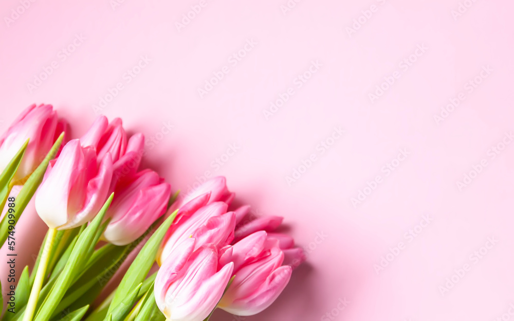 Pink tulip flowers. Beautiful spring floral composition.