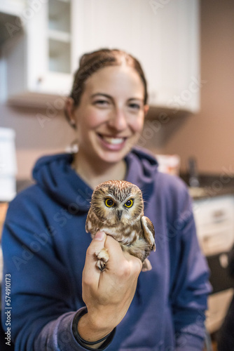 A biologists conduct a  mark and recapture study on the Northern saw-whet owl in British Columbia, Canada. photo