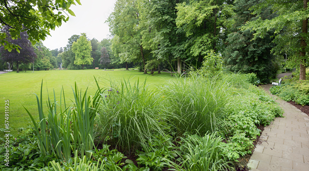 Obraz premium green park landscape spa garden Bad Aibling, bavaria