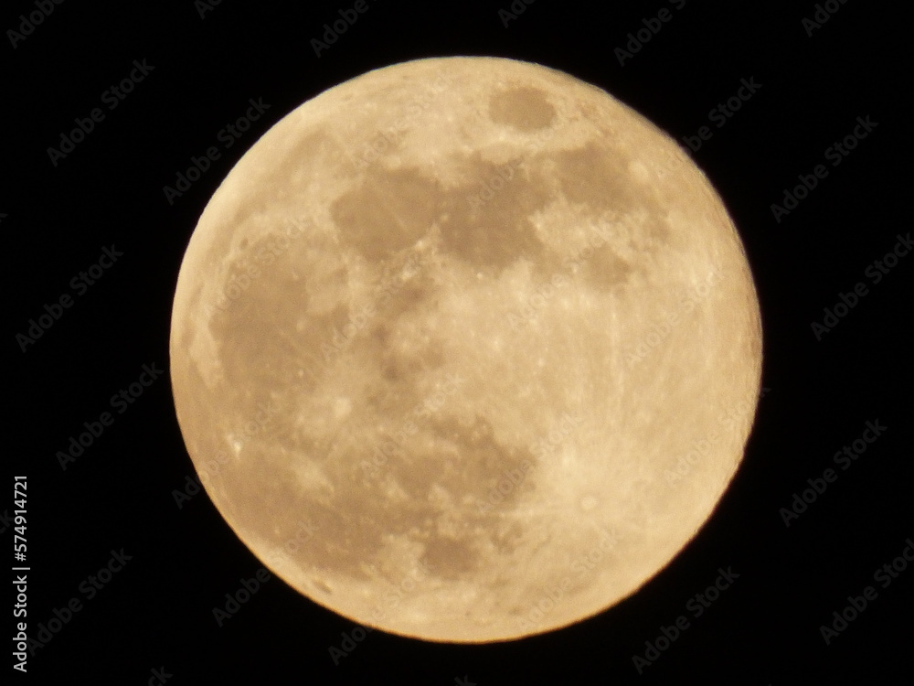 Naklejka premium full moon over black