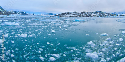 Drift floating Ice and Snowcapped Mountains  Iceberg  Ice Floes  Albert I Land  Arctic  Spitsbergen  Svalbard  Norway  Europe