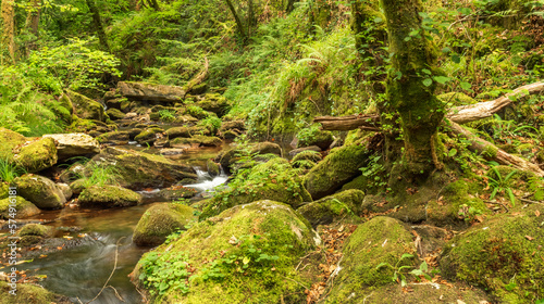 Fragas do Eume Natural Park, Pontedeume, La CoruÃ±a, Galicia, Spain, Europe