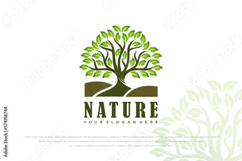 Tree vector icon. Nature trees vector illustration logo design.