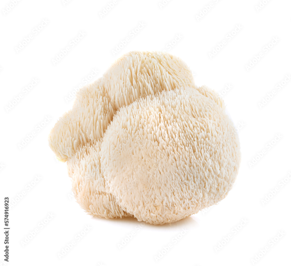 lion mane mushroom isolated on white background - obrazy, fototapety, plakaty 