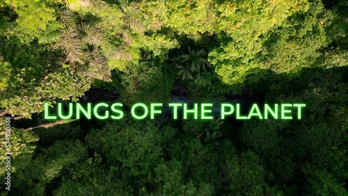 Lungs of The Planet Animation Text For A Motivational Video Title Over The Tropical Rainforest. - aerial, graphic photo