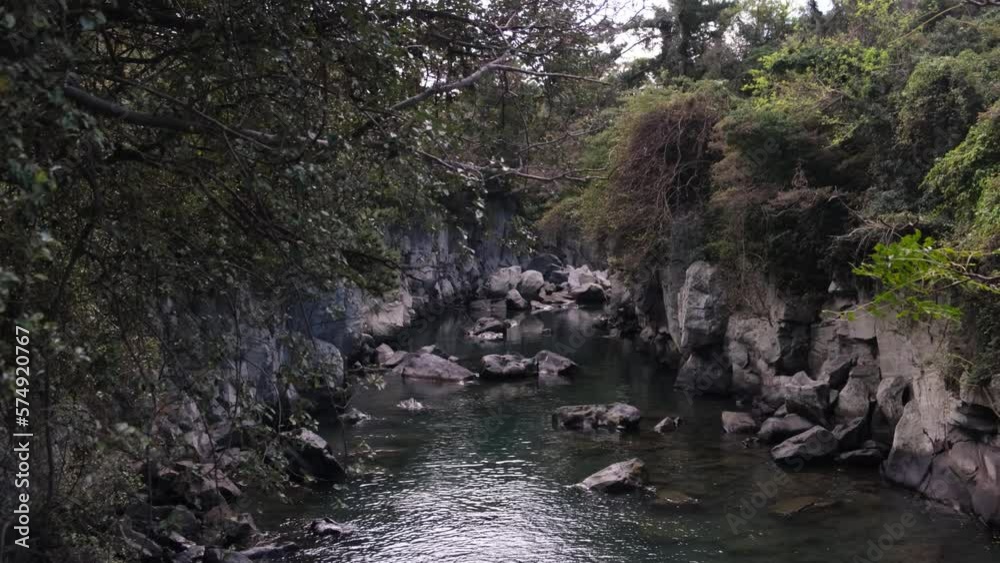 River water flowing through jungle and forest in South Korea nature River water flowing through jungle and forest in South Korea nature
