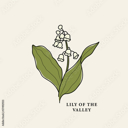 Line art lily of the valley drawing
