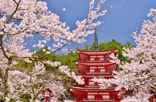 青空に映える桜と五重塔 新倉山浅間公園