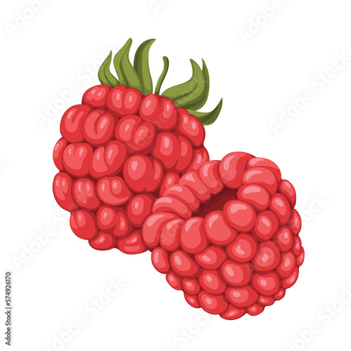 raspberry red berry fruit food healthy ripe vector illustration sweet berries fresh juicy nature freshness natural cherry fruits