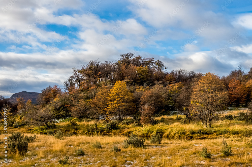 Nature view of Tierra del Fuego province in Argentina. Nature of South America