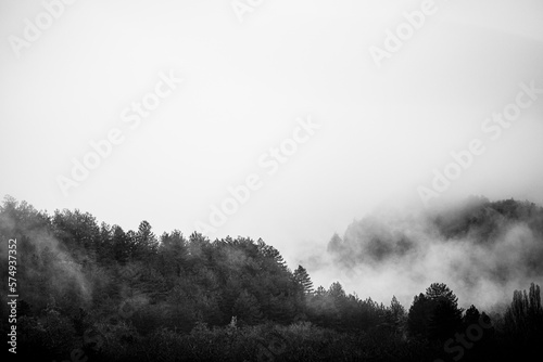 Paysage de montagne avec les sapins dans la brume - Temps brumeux
