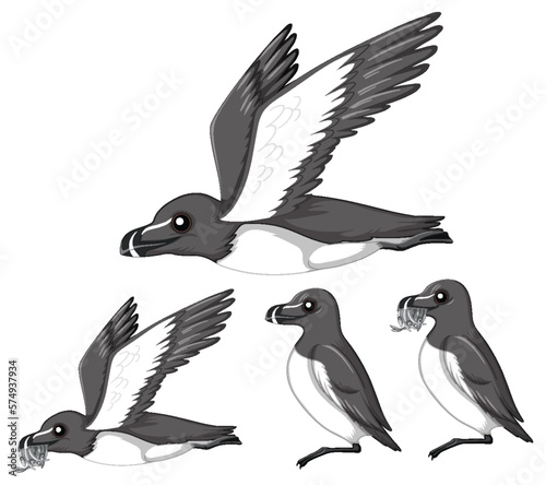 Magpie birds in cartoon style