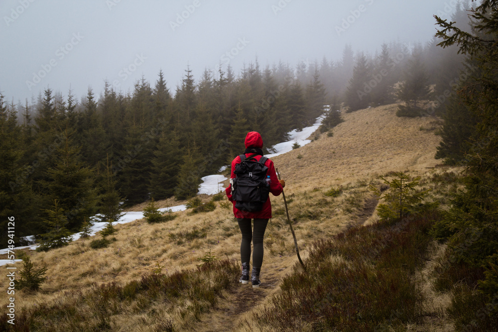 Female hiker traveling through spring foggy forest scenic photography. Picture with nature on background. High quality wallpaper. Natural light. Photo concept for ads, travel blog, magazine, article