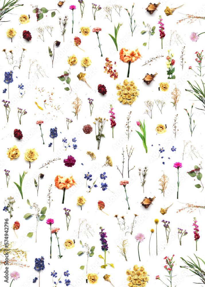 background with flowers background with flowers