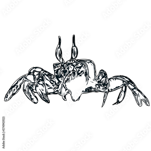 black and white sketch of a crab with transparent background