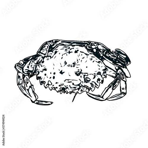 black and white sketch of a crab with transparent background
