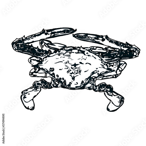black and white sketch of a crab with transparent background