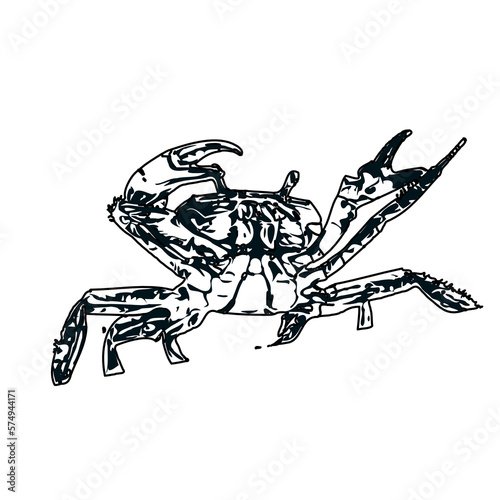 black and white sketch of a crab with transparent background