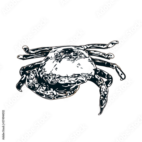 black and white sketch of a crab with transparent background
