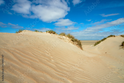Gräser auf einer Düne - vom Wind geformte Wellen im Sand - Dünenlandschaft an der dänischen Nordseeküste