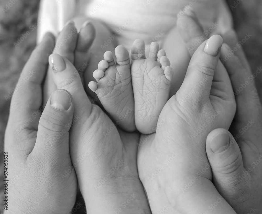 Newborn baby feet in parents hands Newborn baby feet in parents hands
