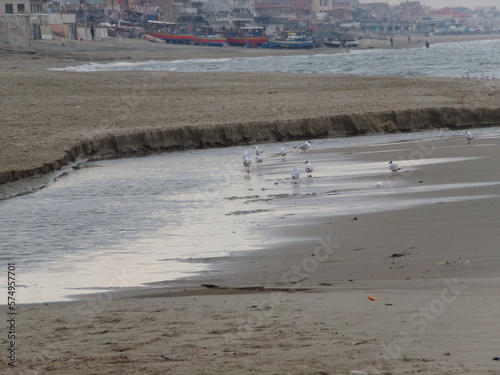 KODAK Digital Still Camera