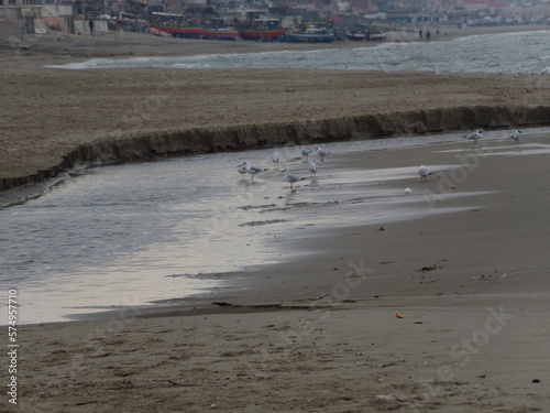 KODAK Digital Still Camera