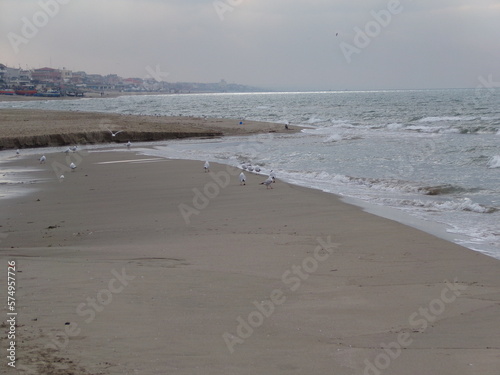 KODAK Digital Still Camera