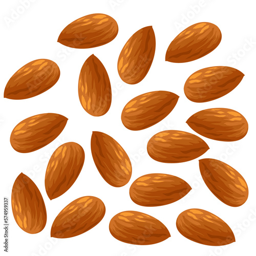 アーモンドのイラスト素材　ベクター
