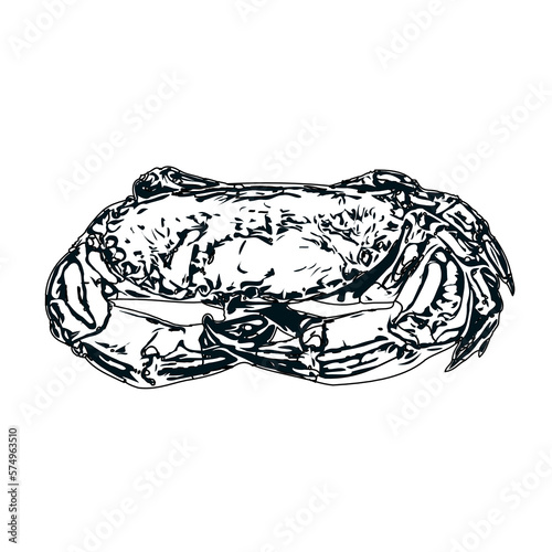 black and white sketch of a crab with transparent background