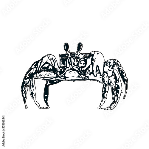black and white sketch of a crab with transparent background