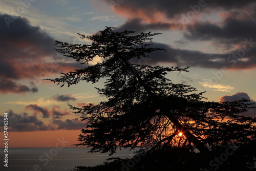 Sunset over the sea with a view of the setting golden disk and sunbeams behind a pine tree