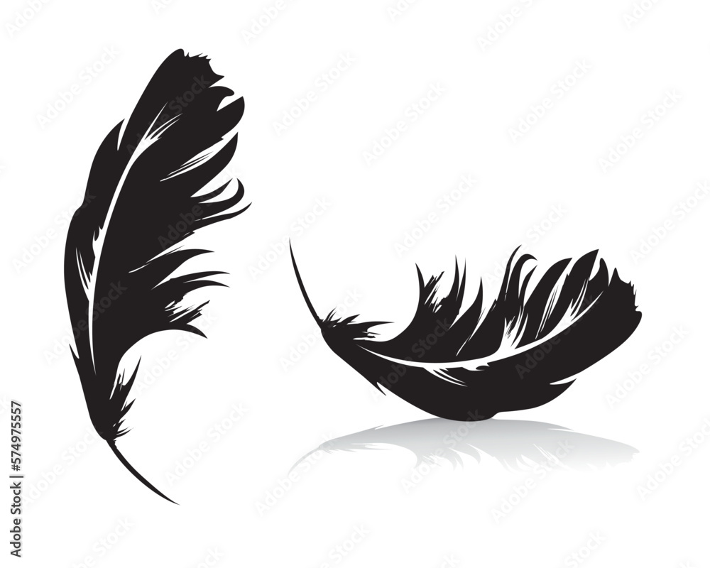 Obraz premium Feder als Vektorgrafik