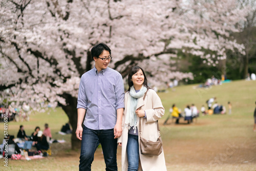 満開の桜の公園でデートするカップル