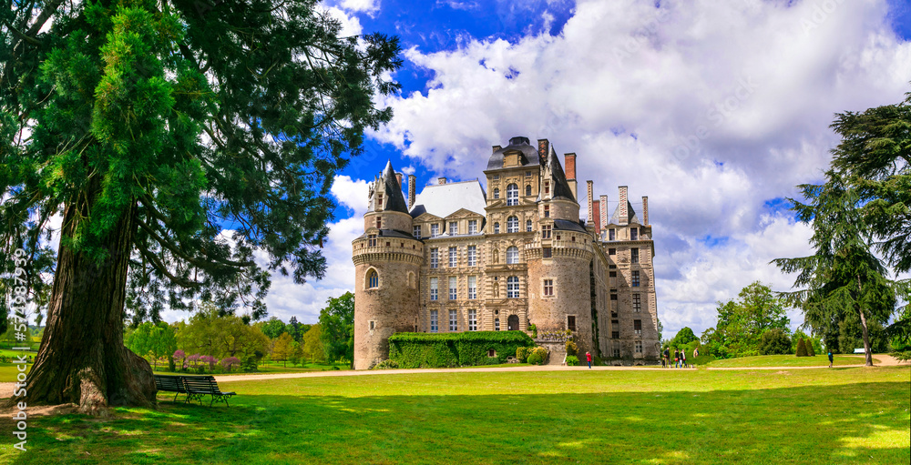 Most beautiful and elegant castles of France - Chateau de Brissac , famous Loire valley