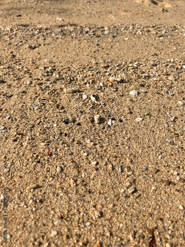 White and yellow sand on the beach of Phuket island. Seashells and pebbles on the beach White and yellow sand on the beach of Phuket island. Seashells and pebbles on the beach