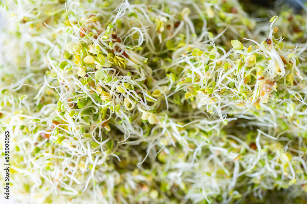 Sprouts