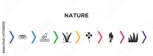 nature filled icons with infographic template. glyph icons such as hill, sow, reeds, clovers, black birch tree, grass leaves vector.