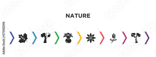 nature filled icons with infographic template. glyph icons such as sugar maple tree  american beech tree  agave  petals  flower of leaves  silver maple tree vector.