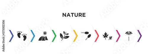 nature filled icons with infographic template. glyph icons such as four toe footprint, dune, black willow, fertilize clinic, dry leaf, ginkgo vector.