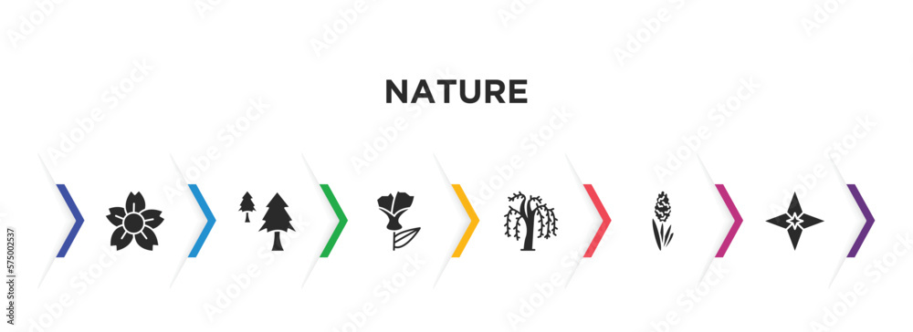 nature filled icons with infographic template. glyph icons such as sakura, cedar, larch, willow, hyacinth, carnation vector.