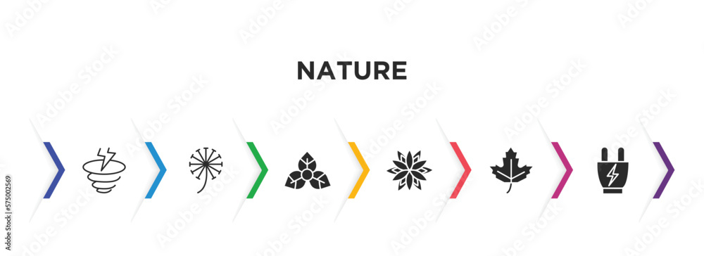 nature filled icons with infographic template. glyph icons such as windstorm, dandelion, bougainvillea, dahlia, maple, eco socket vector.