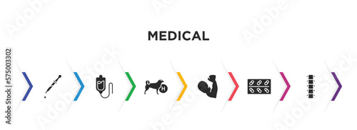 medical filled icons with infographic template. glyph icons such as eye dropper, plasma, canine, strong, cure, vertebra vector.