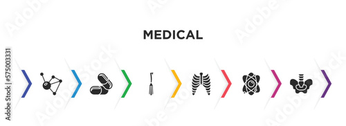 medical filled icons with infographic template. glyph icons such as molecular configuration, medicine capsules, dentist tool, sternum, atomic structure, pelvic area vector.
