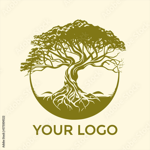 Banyan Tree Logo Design for Your Business