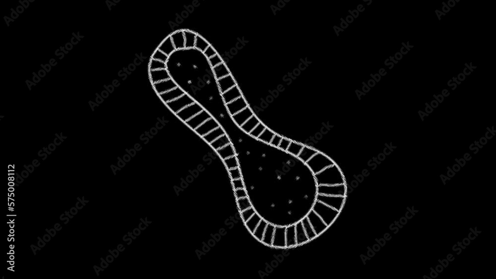 Biology Doodle Element Animation With Alpha Video Biology Doodle Element Animation With Alpha Video